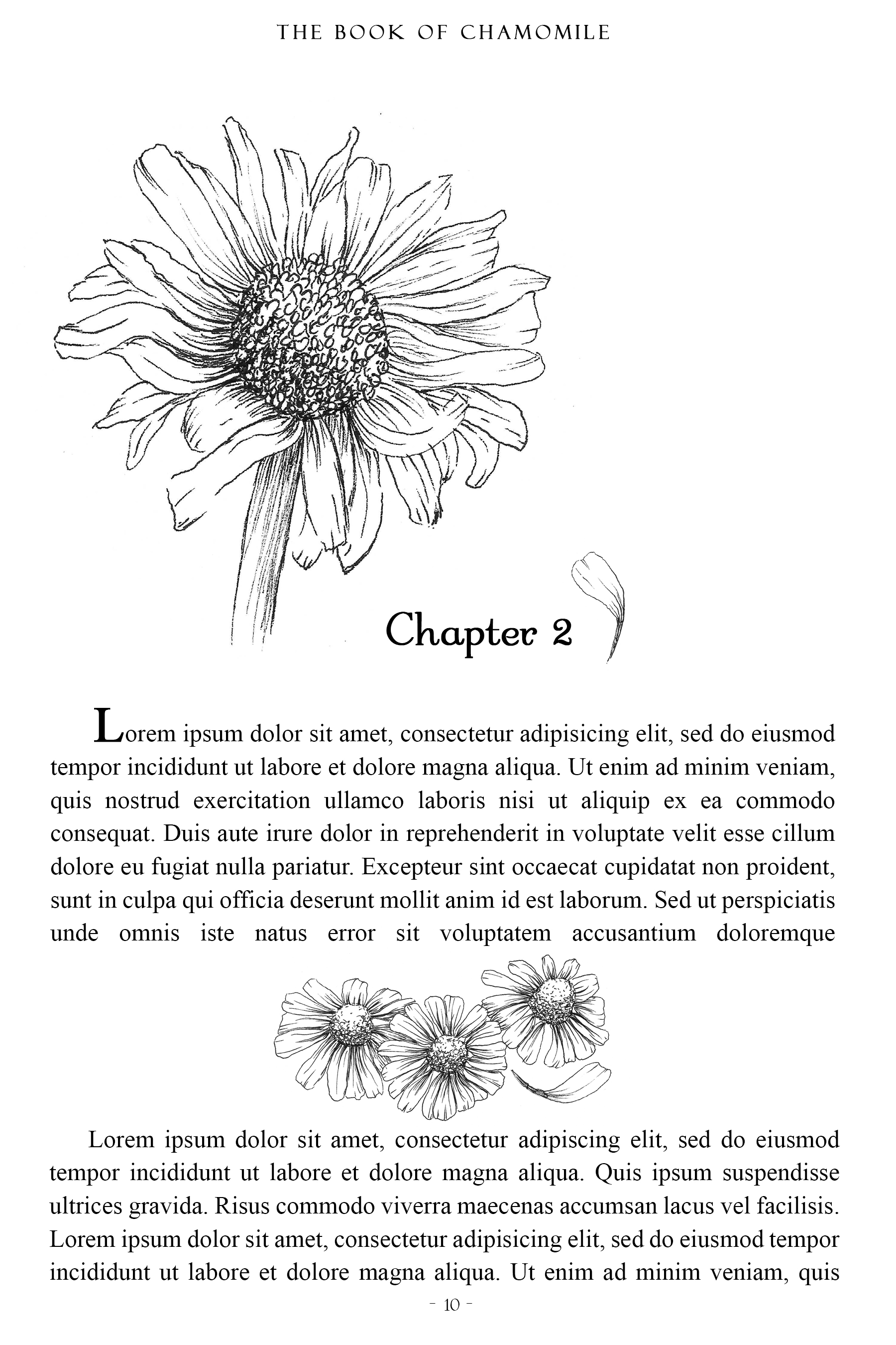 Chamomile Flower Header & Divider Package