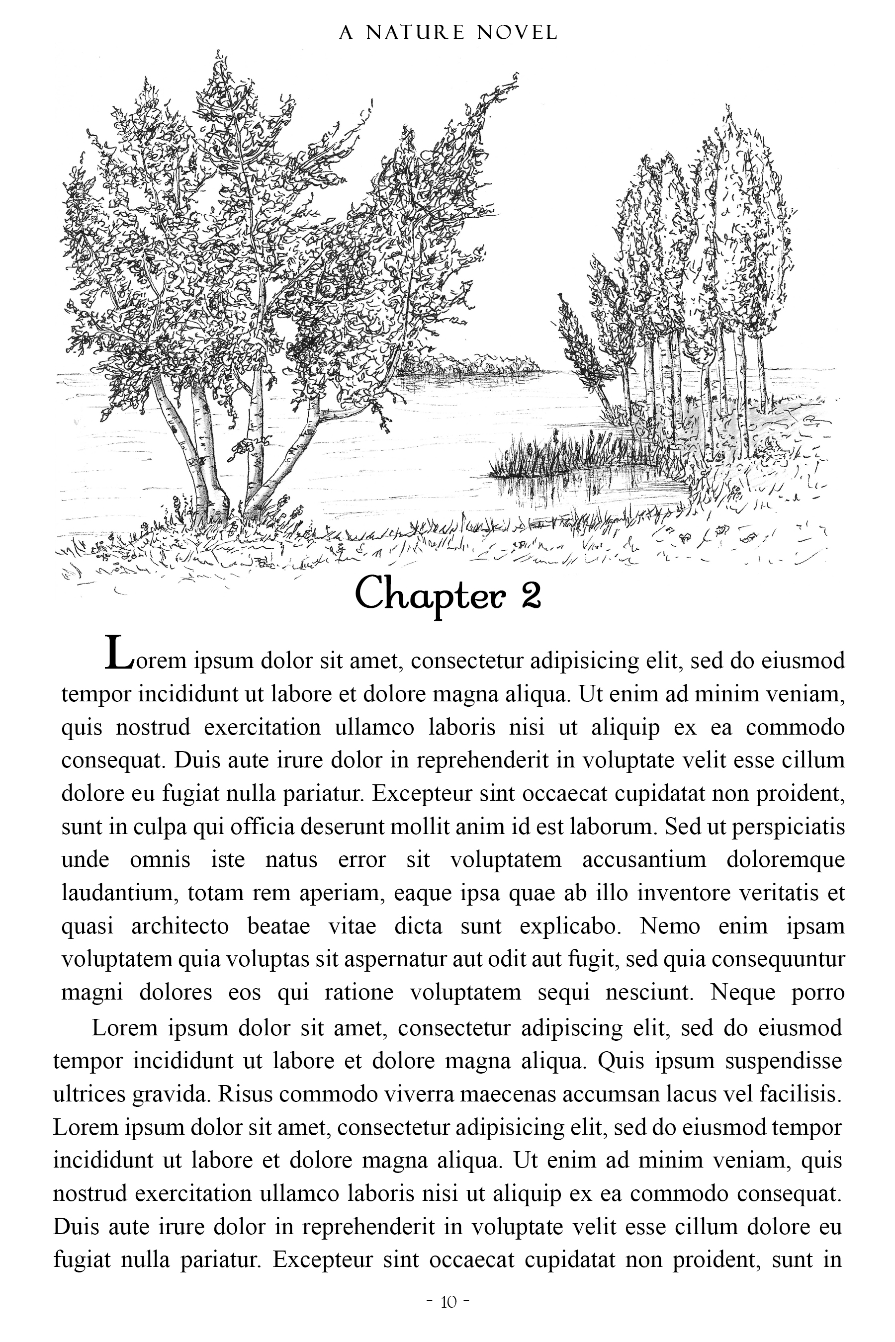 Birch Trees on a Lake Chapter Header