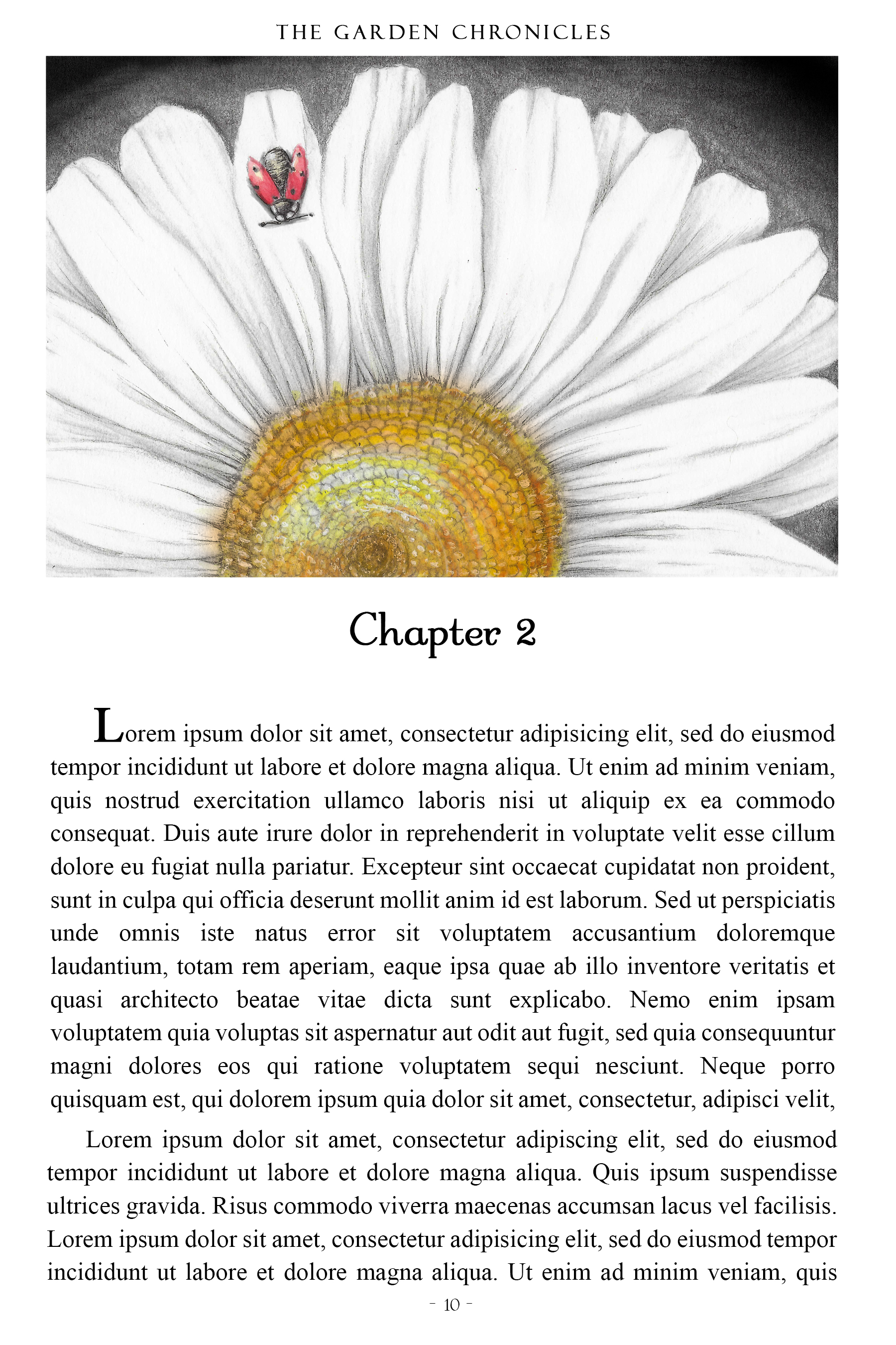 Chamomile & Lady Bug Single Header Illustration