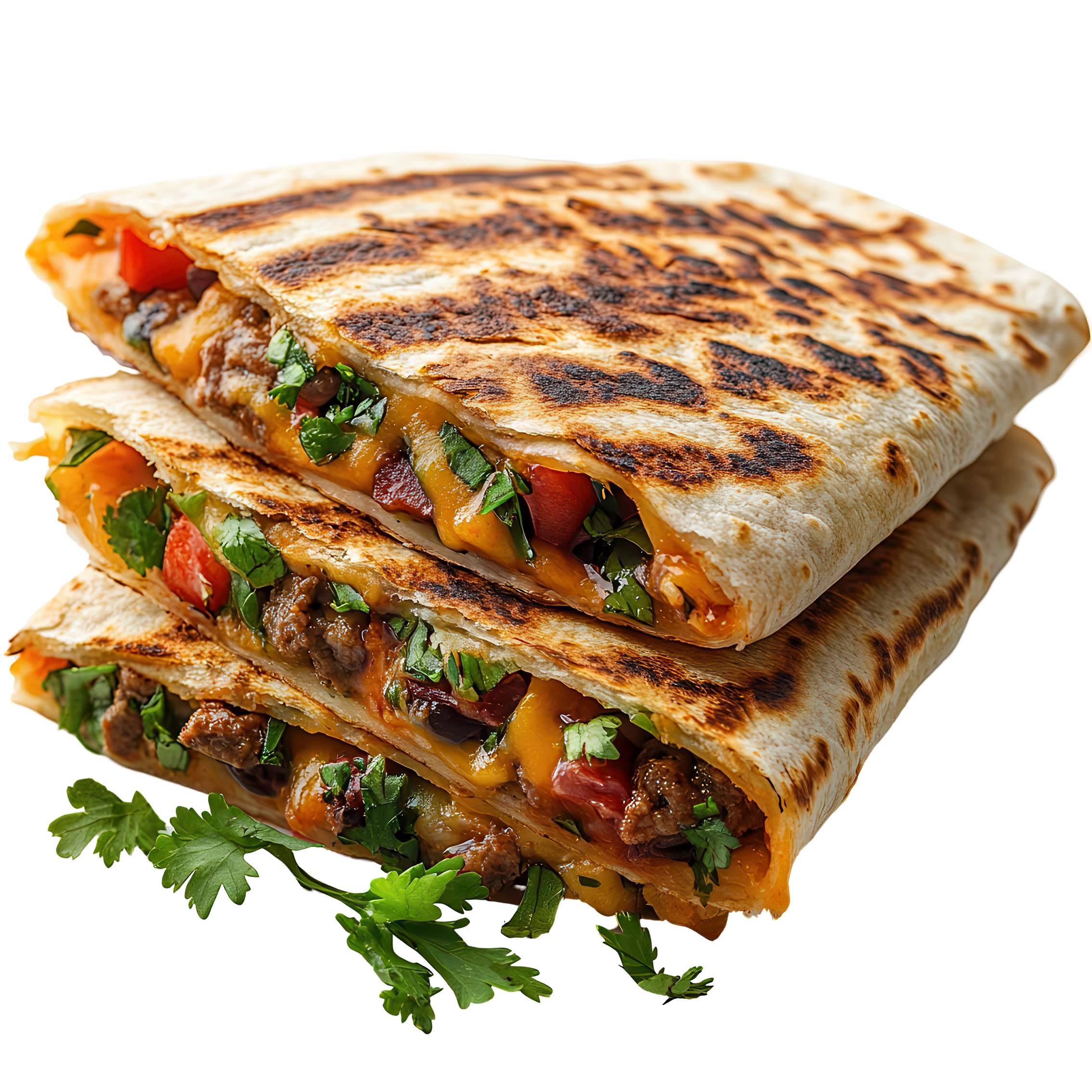 Steak Quesadilla