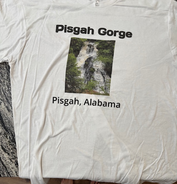 Pisgah Gorge T-Shirt