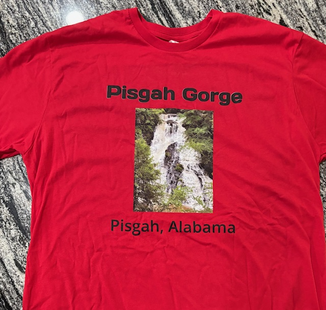 Pisgah Gorge T-Shirt