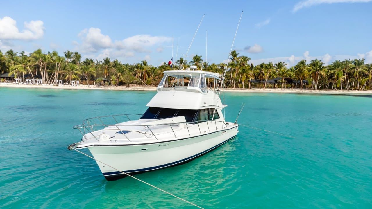 Isla Saona Delux en Yate Privado