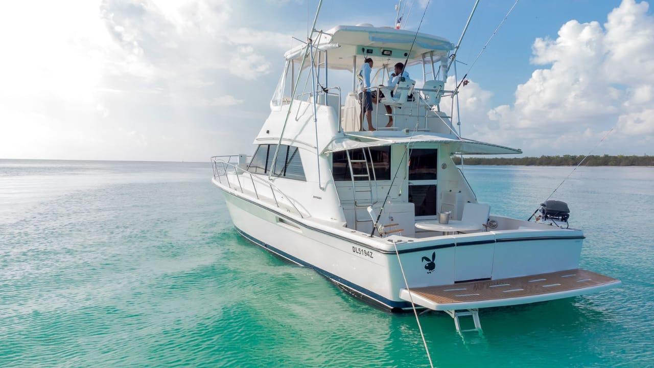 Isla Saona Delux en Yate Privado