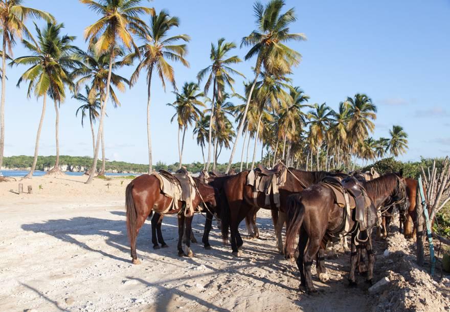 Cabalgata Mazetar