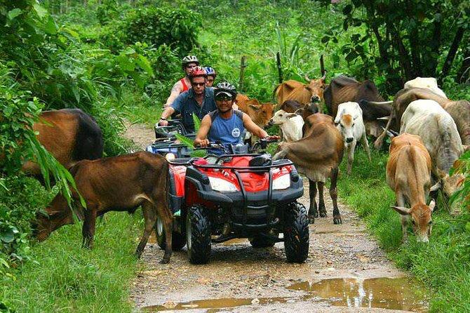Four Wheels Adventure 
