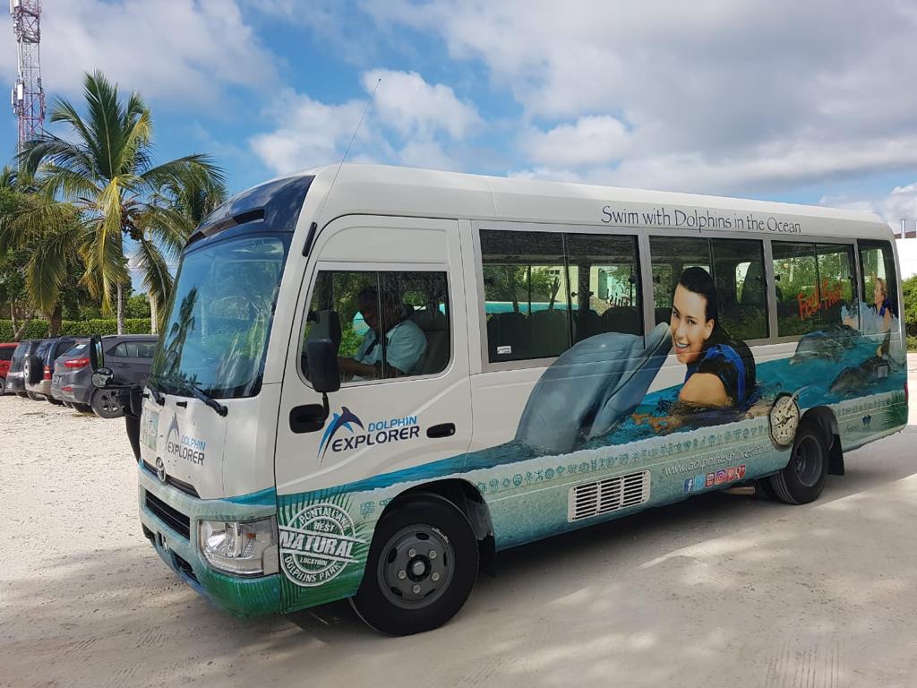 Funtastic Program – Dolphin Explorer
