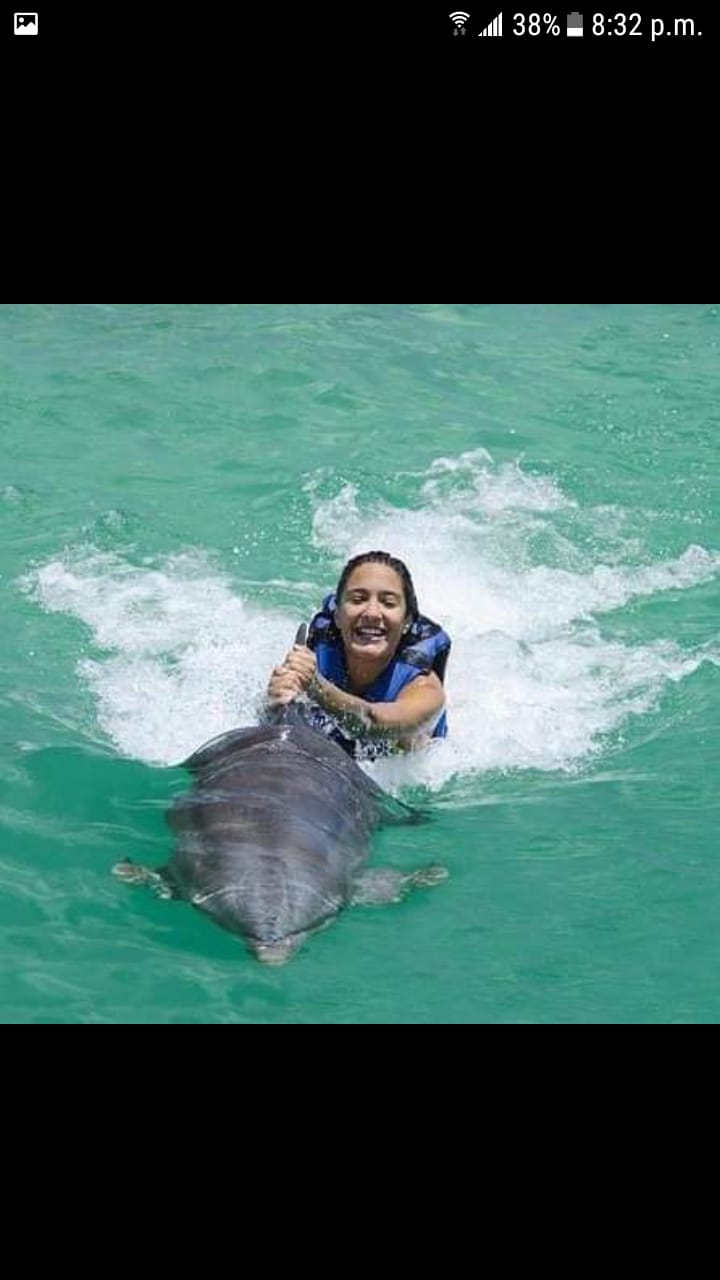 Funtastic Program – Dolphin Explorer