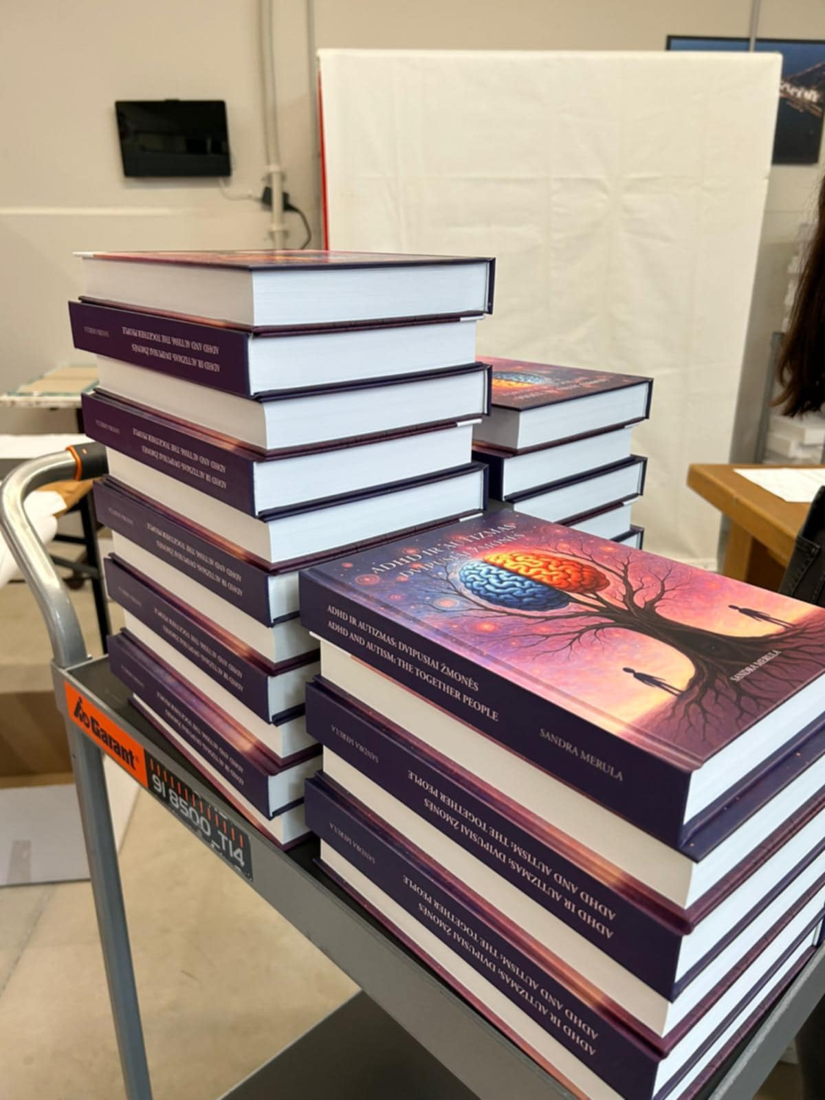 ADHD ir Autizmas: Dvipusiai Žmonės