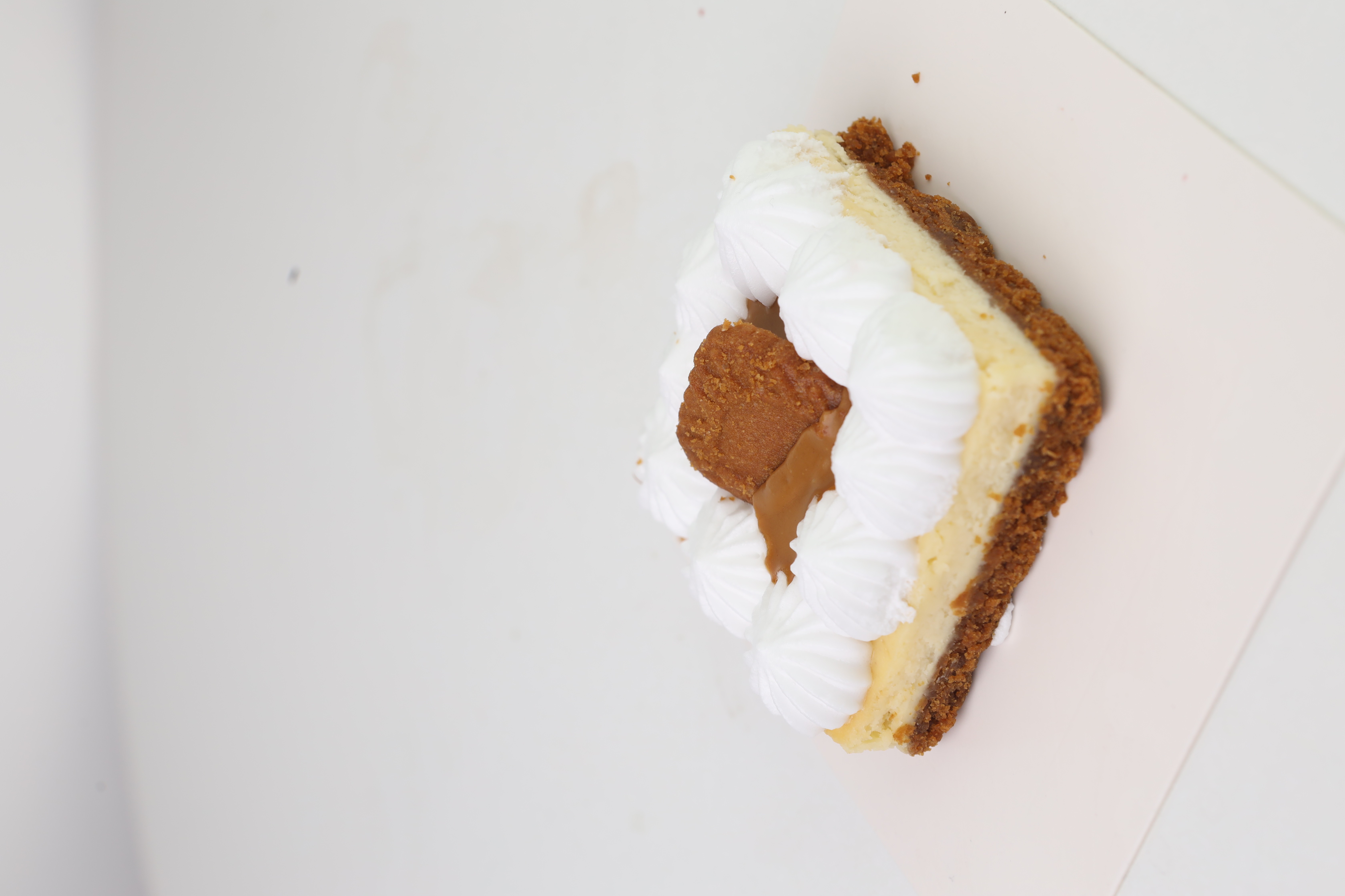 Mini Cheesecake Square