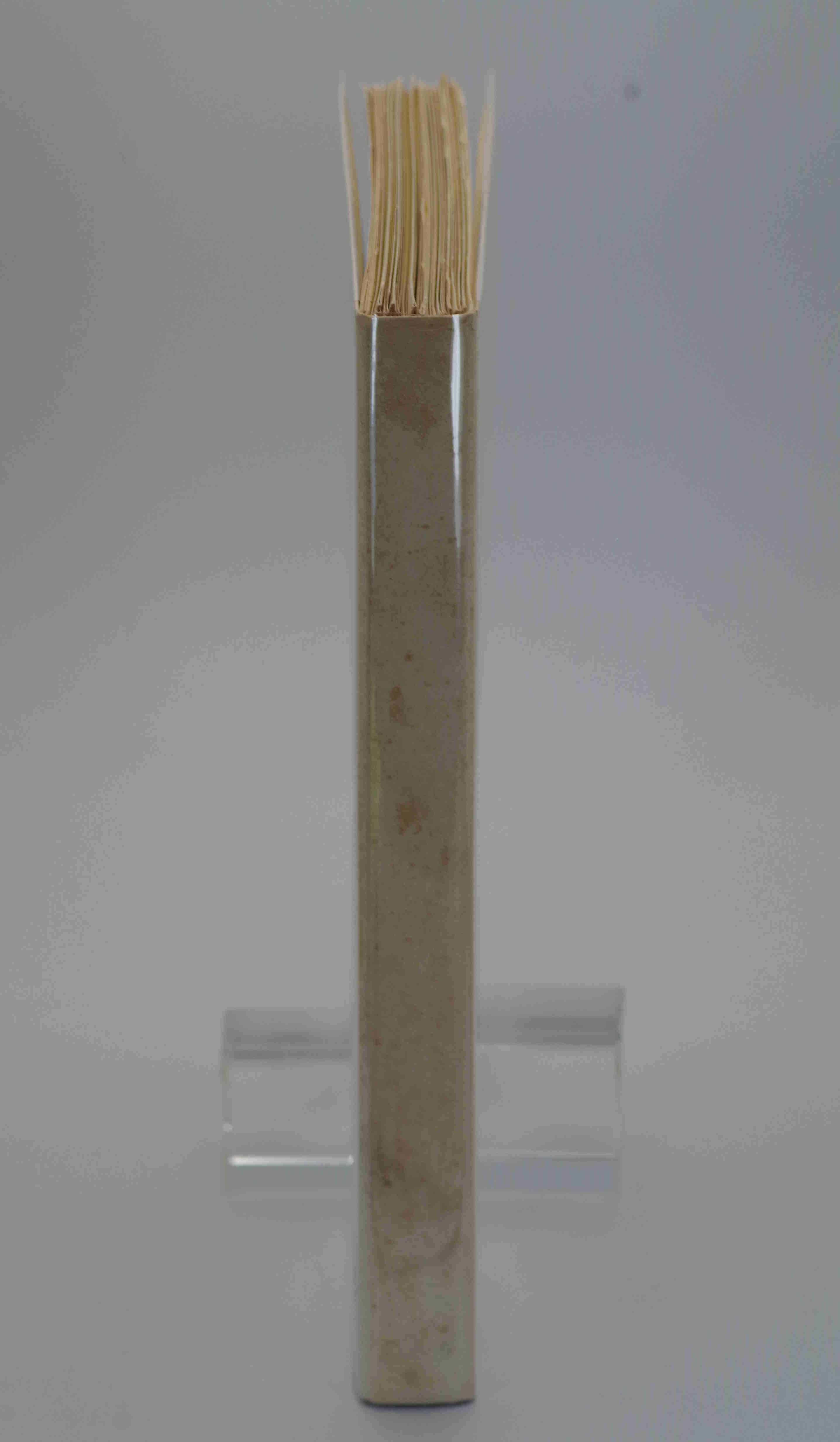 L'Abbé chez les nudistes. 