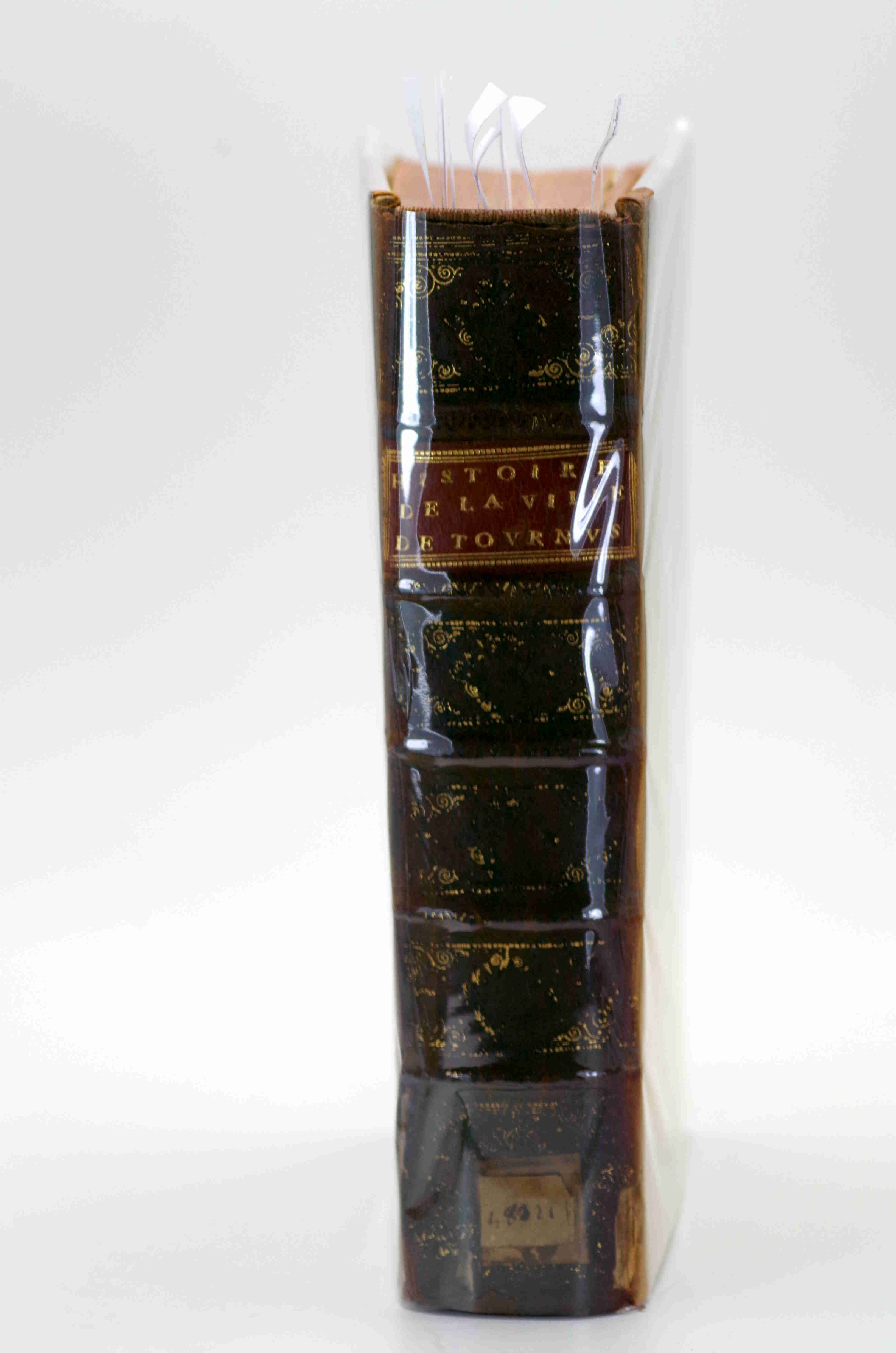 Nouvelle Histoire de l’Abbaïe (sic) Royale et collégiale de Saint Filibert, et de la ville de Tournus, enrichie de figures ; avec une table chronologique, & quelques remarques critiques sur le IVe tome de la Nouvelle Gaule Chrétienne