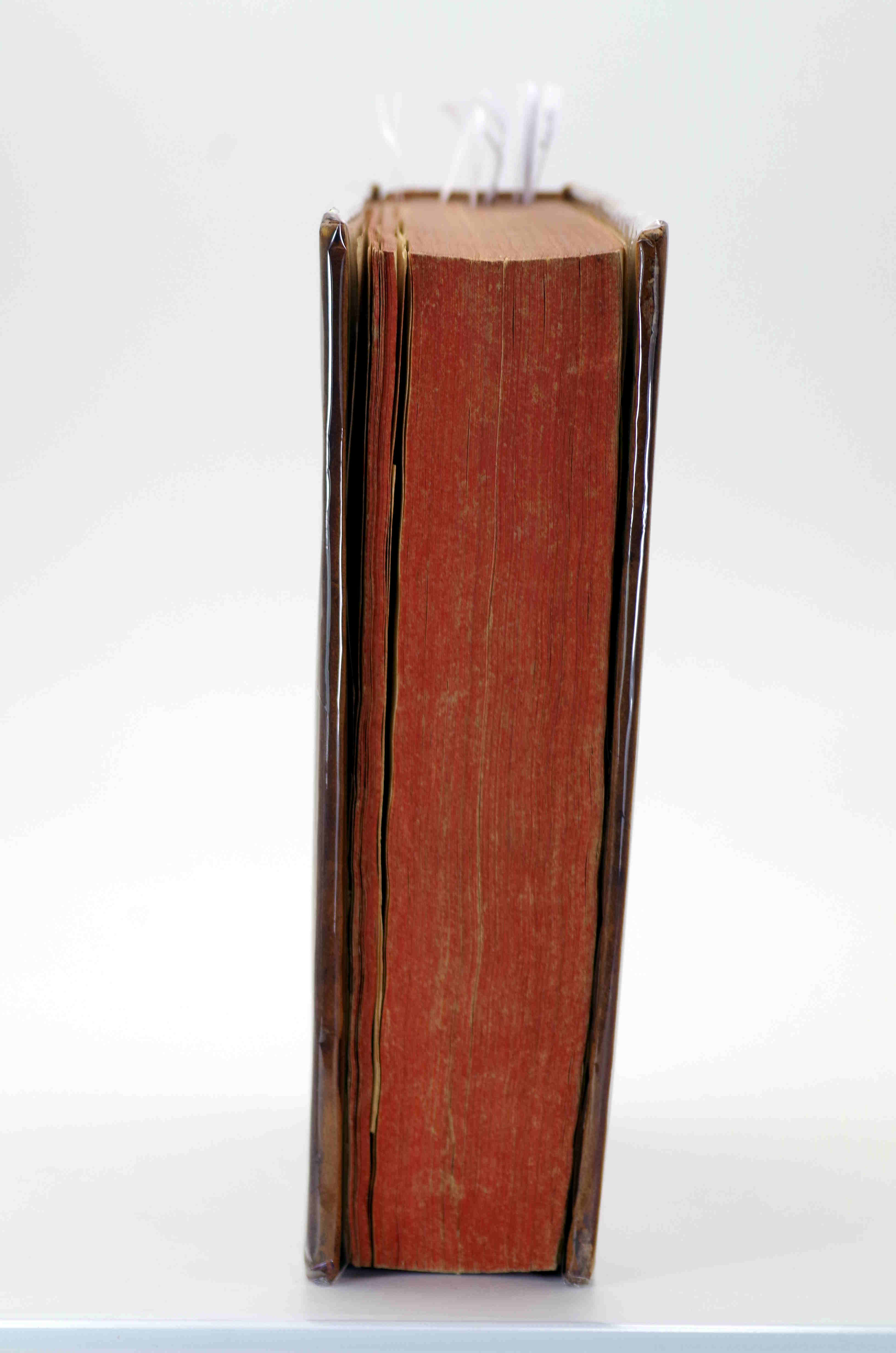 Nouvelle Histoire de l’Abbaïe (sic) Royale et collégiale de Saint Filibert, et de la ville de Tournus, enrichie de figures ; avec une table chronologique, & quelques remarques critiques sur le IVe tome de la Nouvelle Gaule Chrétienne