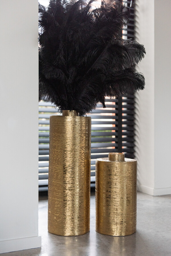 Plume D'autruche 5 Parties