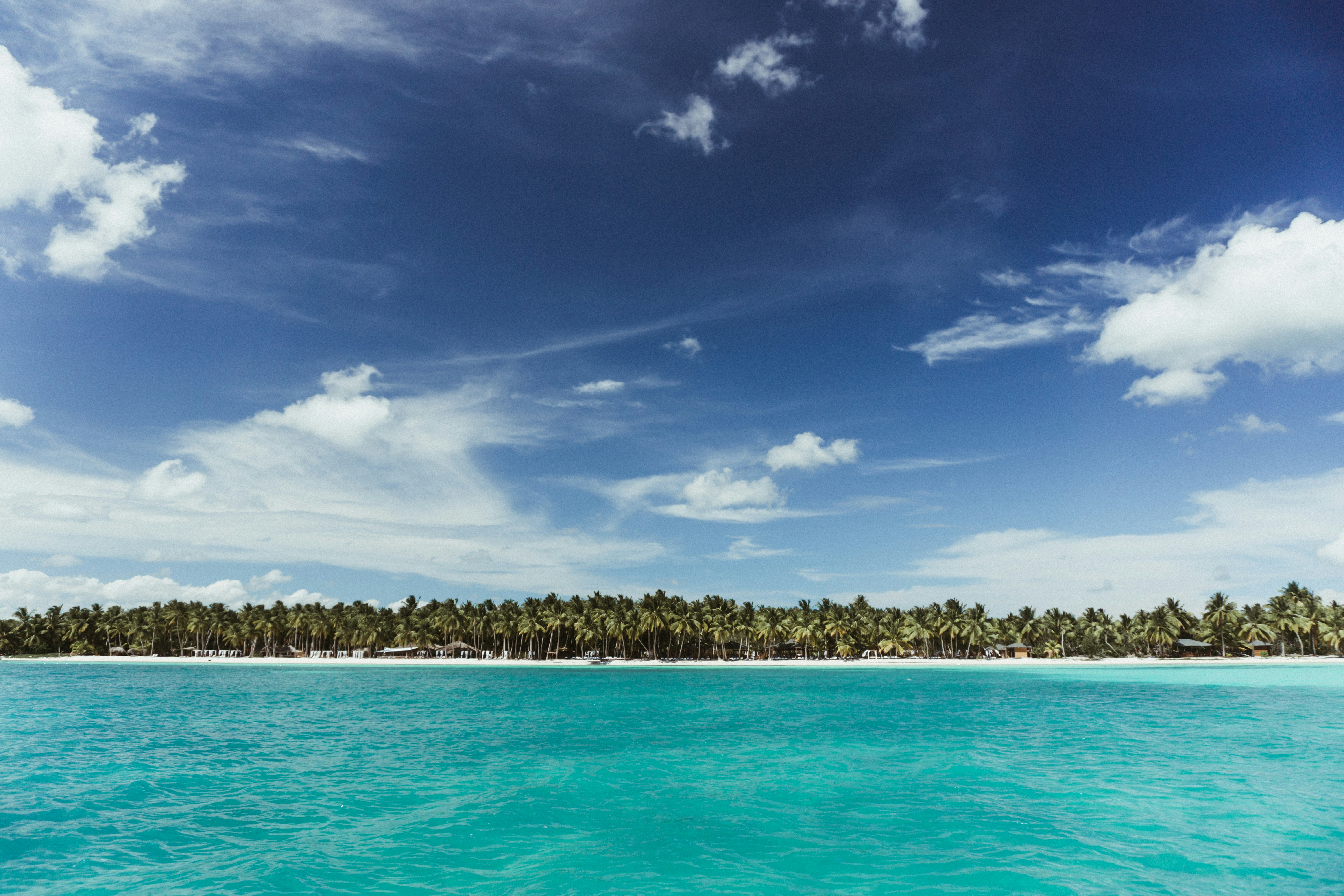 Saona Island Tour