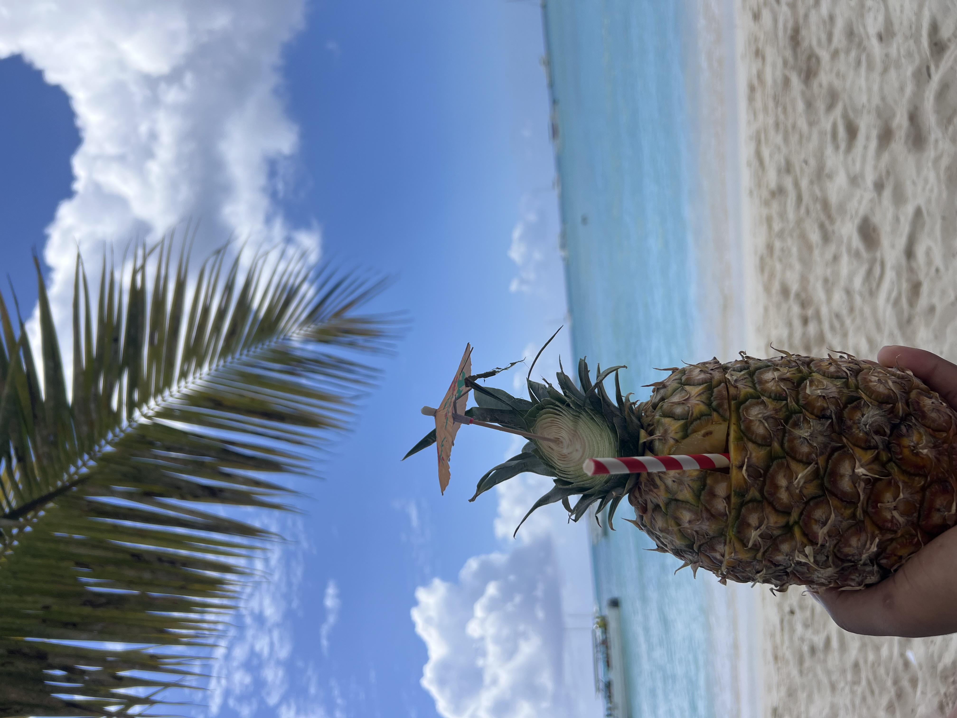 Saona Island Tour