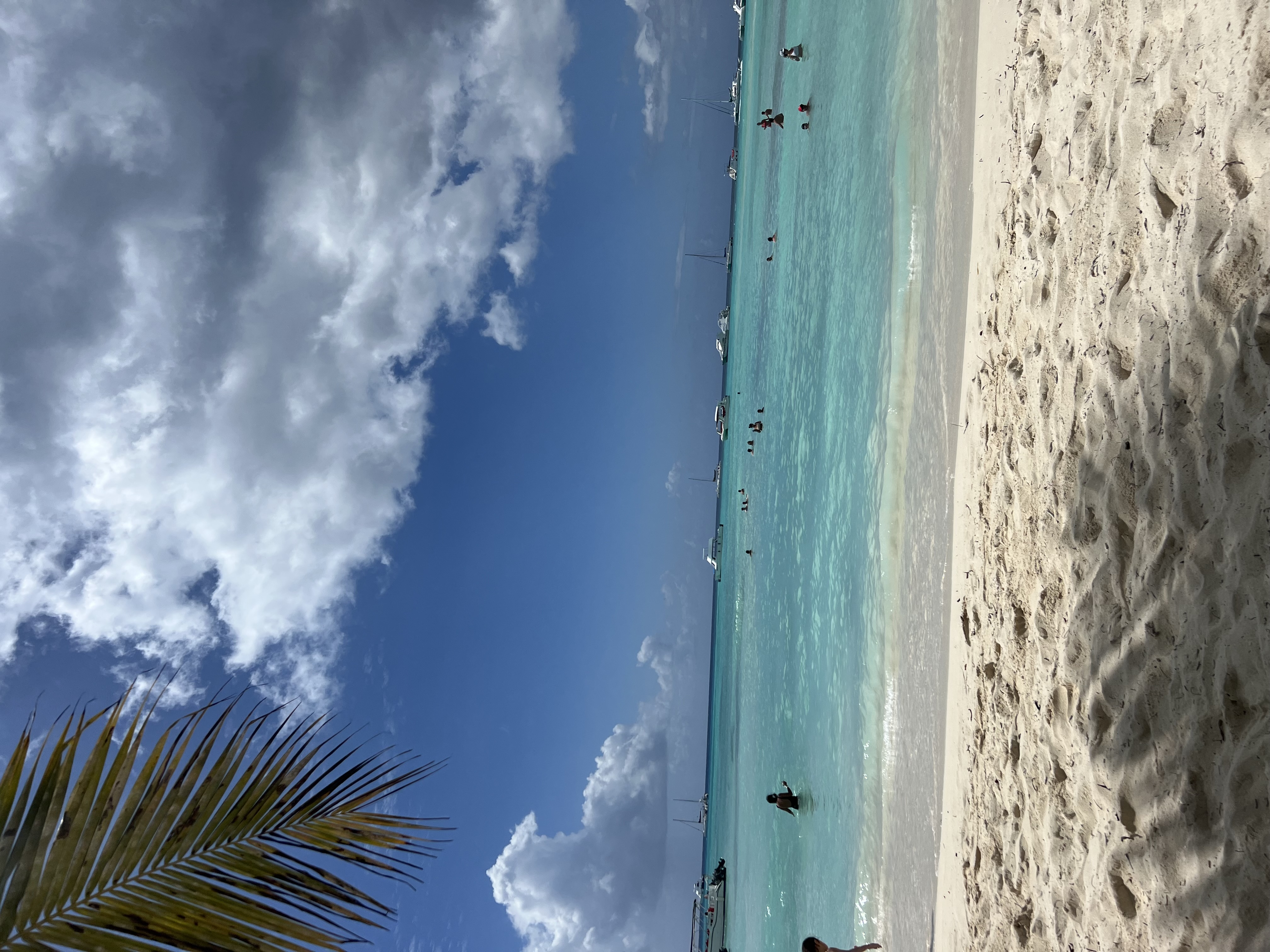Saona Island Tour
