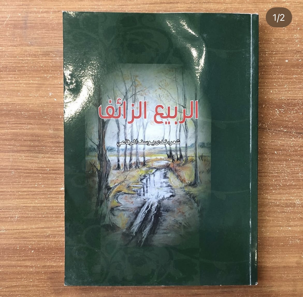الربيع الزائف - ندى الرفاعي