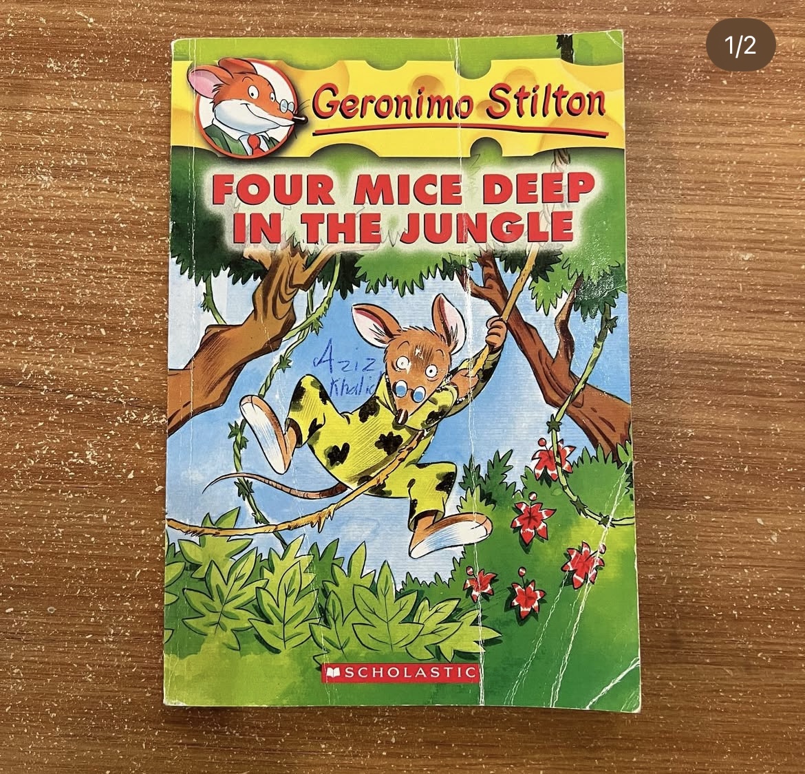 Four mice deep in the jungle
