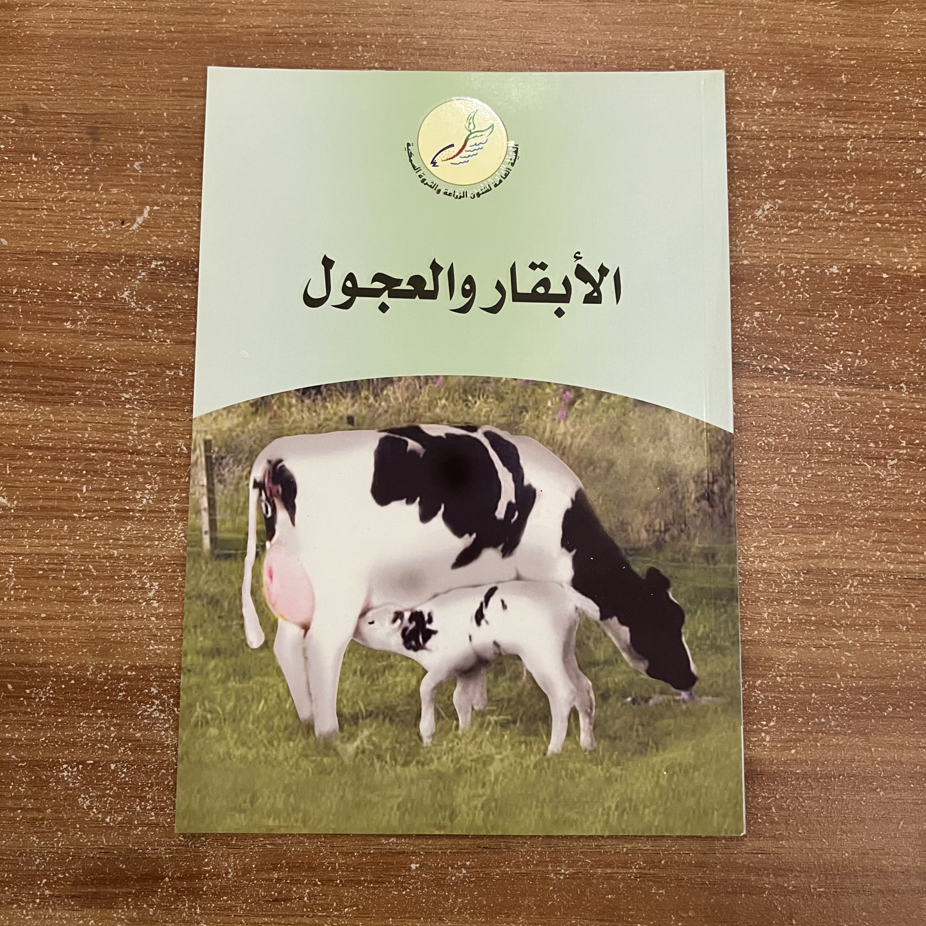 الابقار والعجول 