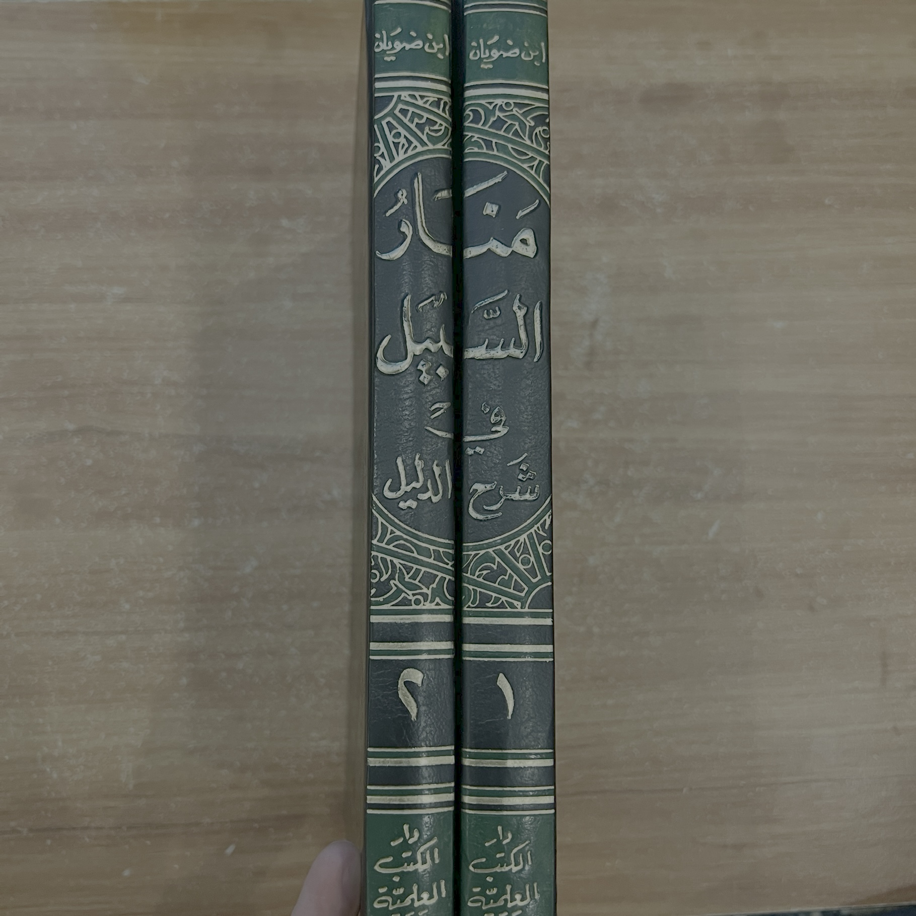 منار السبيل في شرح الدليل (جزآن)