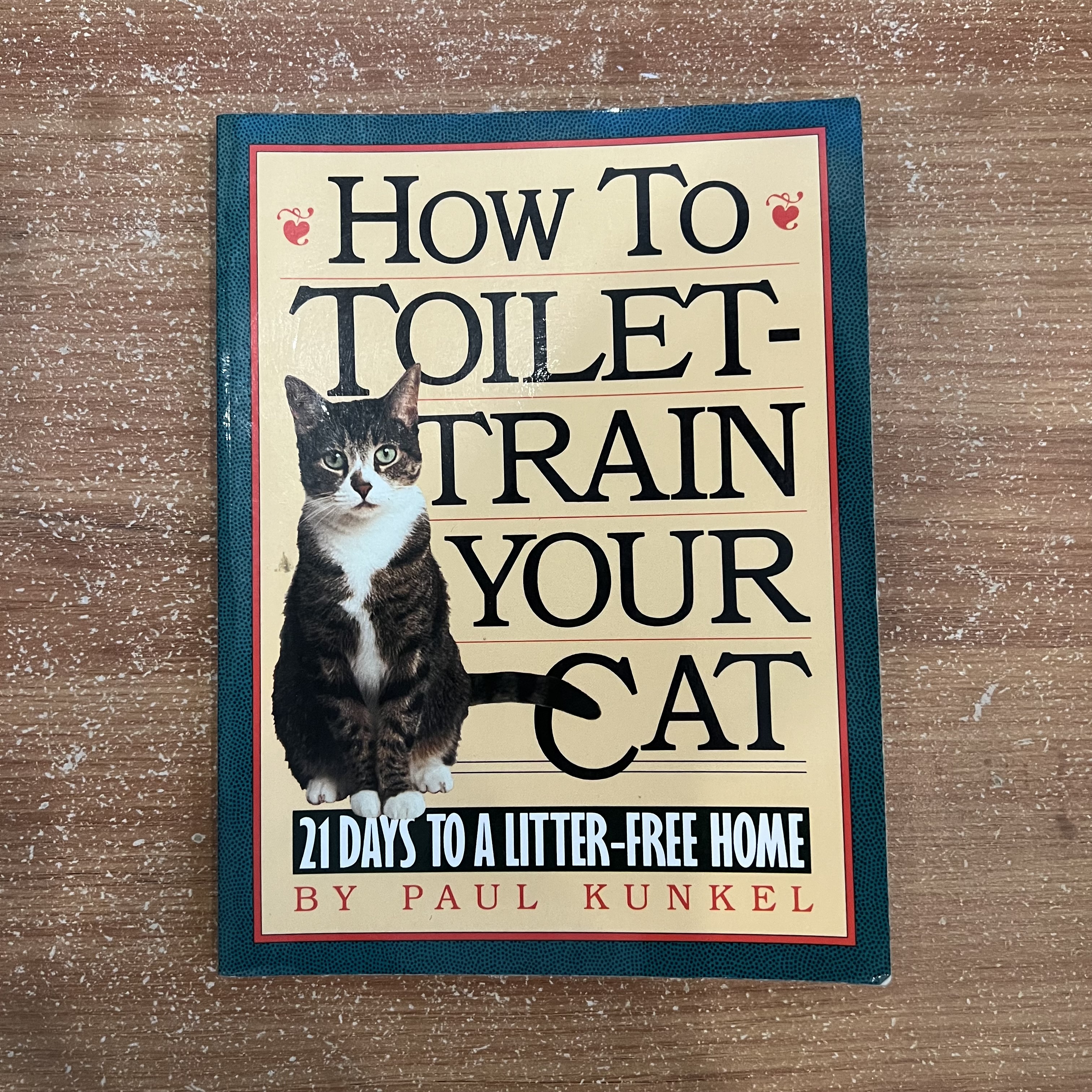 How to Toilet-Train Your Cat