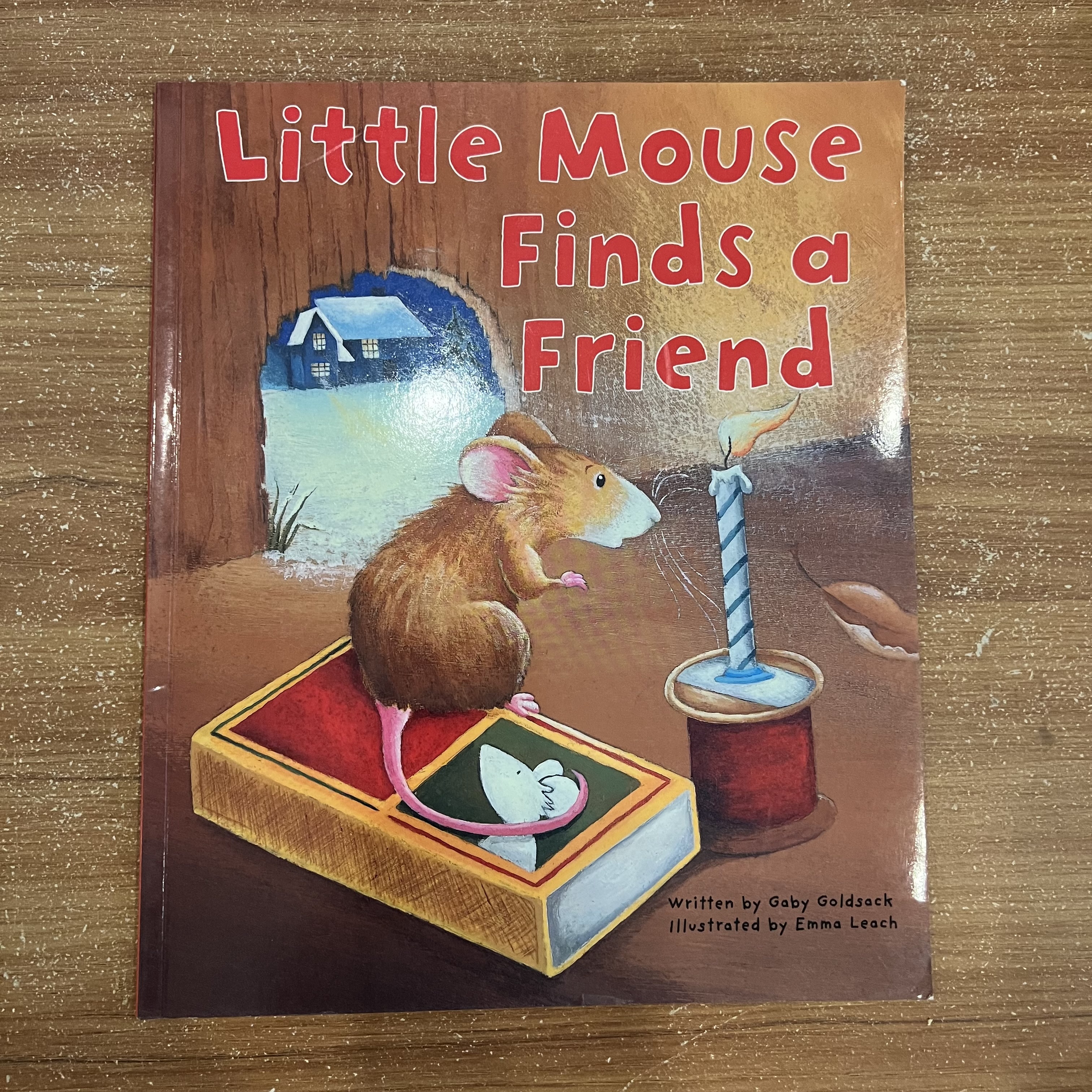 Little Mouse Finds a Friend