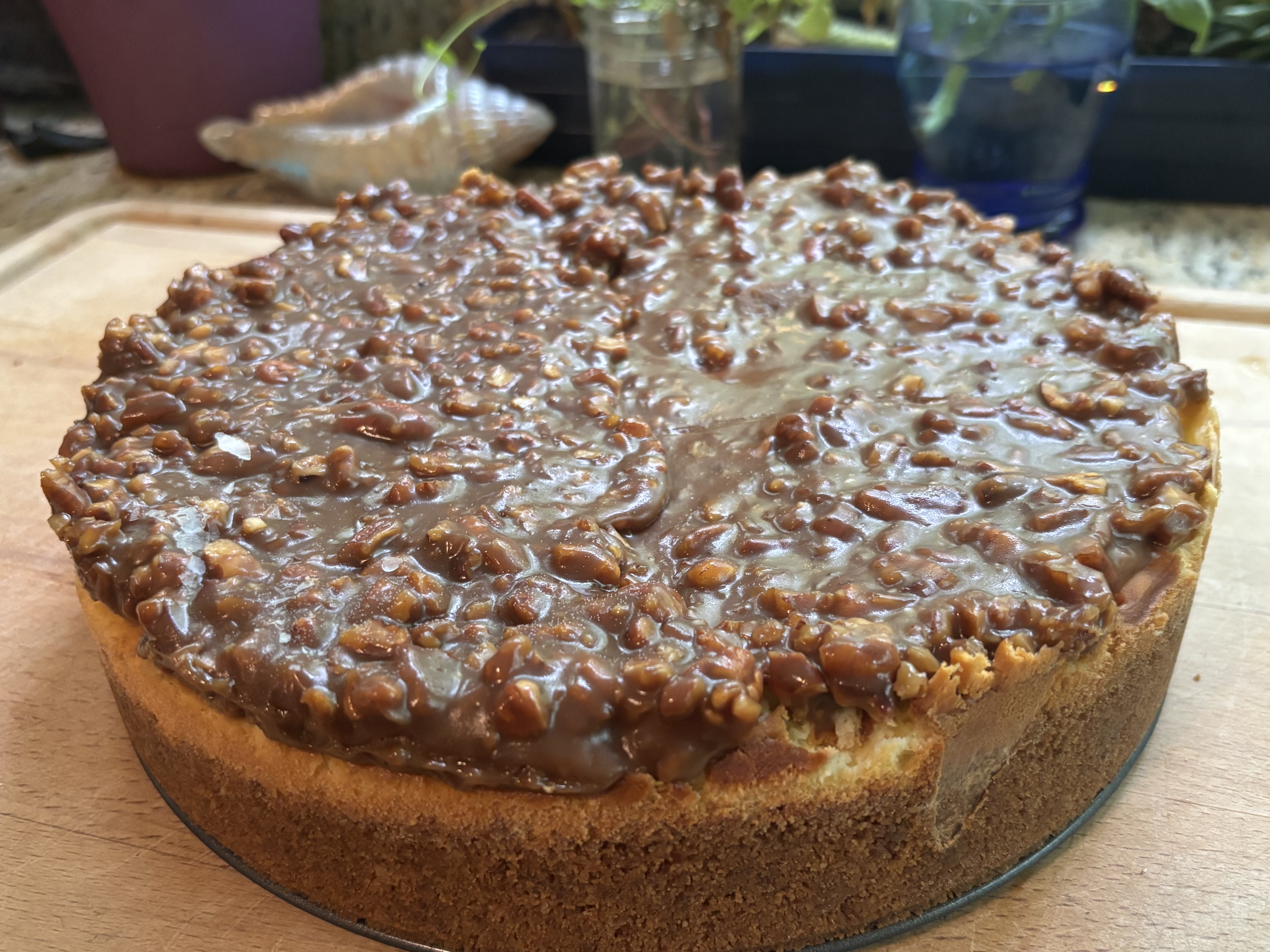 Pecan Caramel Freeze-Dried Homemade Cheesecake