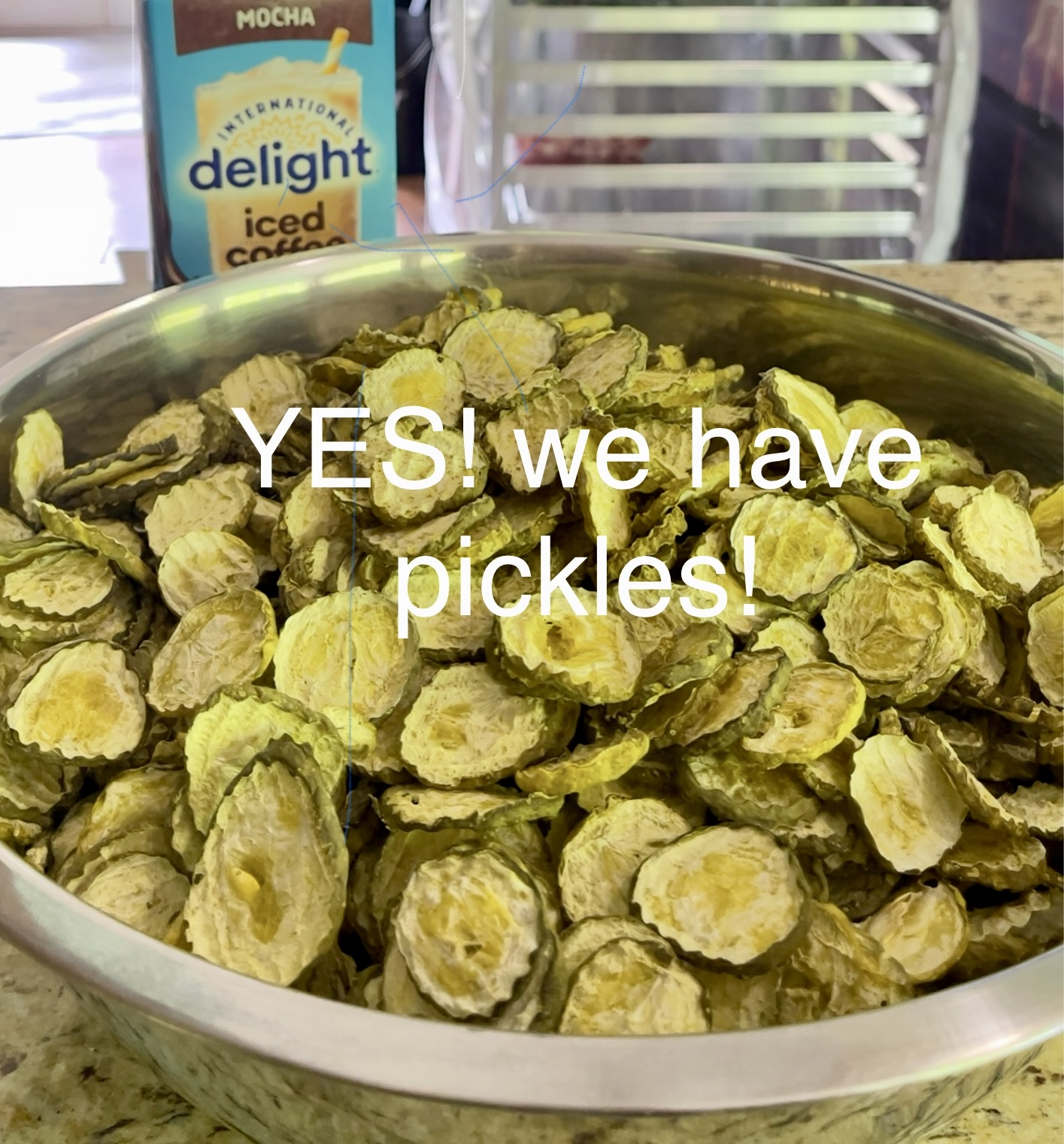 Sliced Dill Pickle Chips