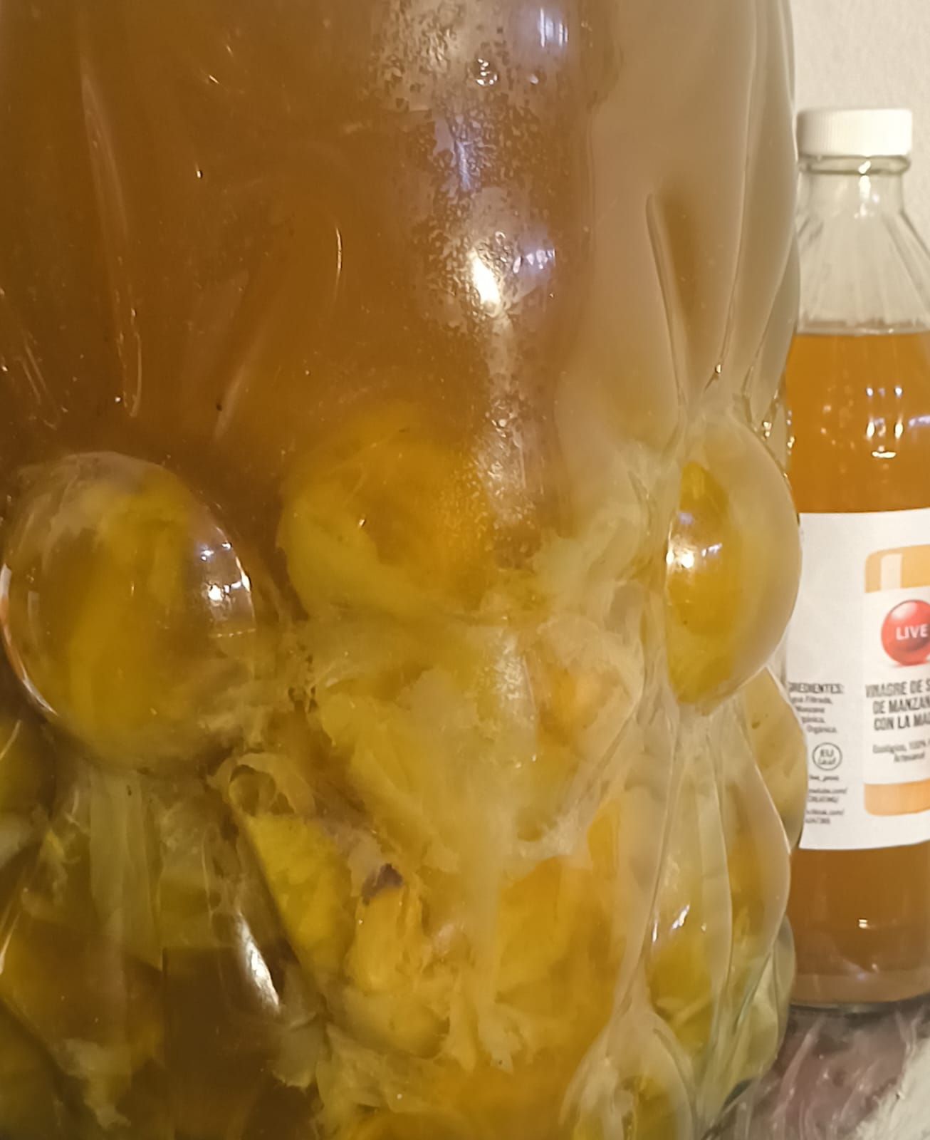 KIT MADRE VIVA DE SIDRA DE MANZANA 500ml