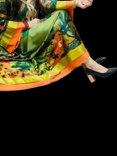 Elegant Multicolor Traditional Dress