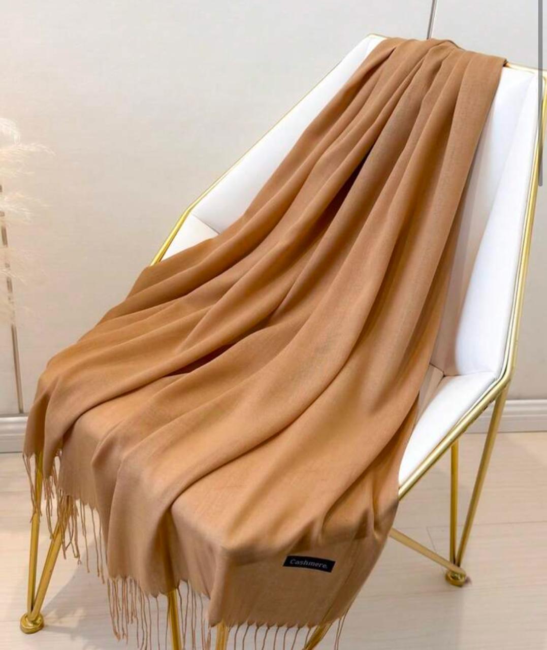 Pashmina Winters Shawls