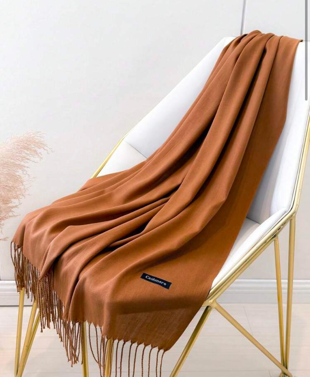 Pashmina Winters Shawls