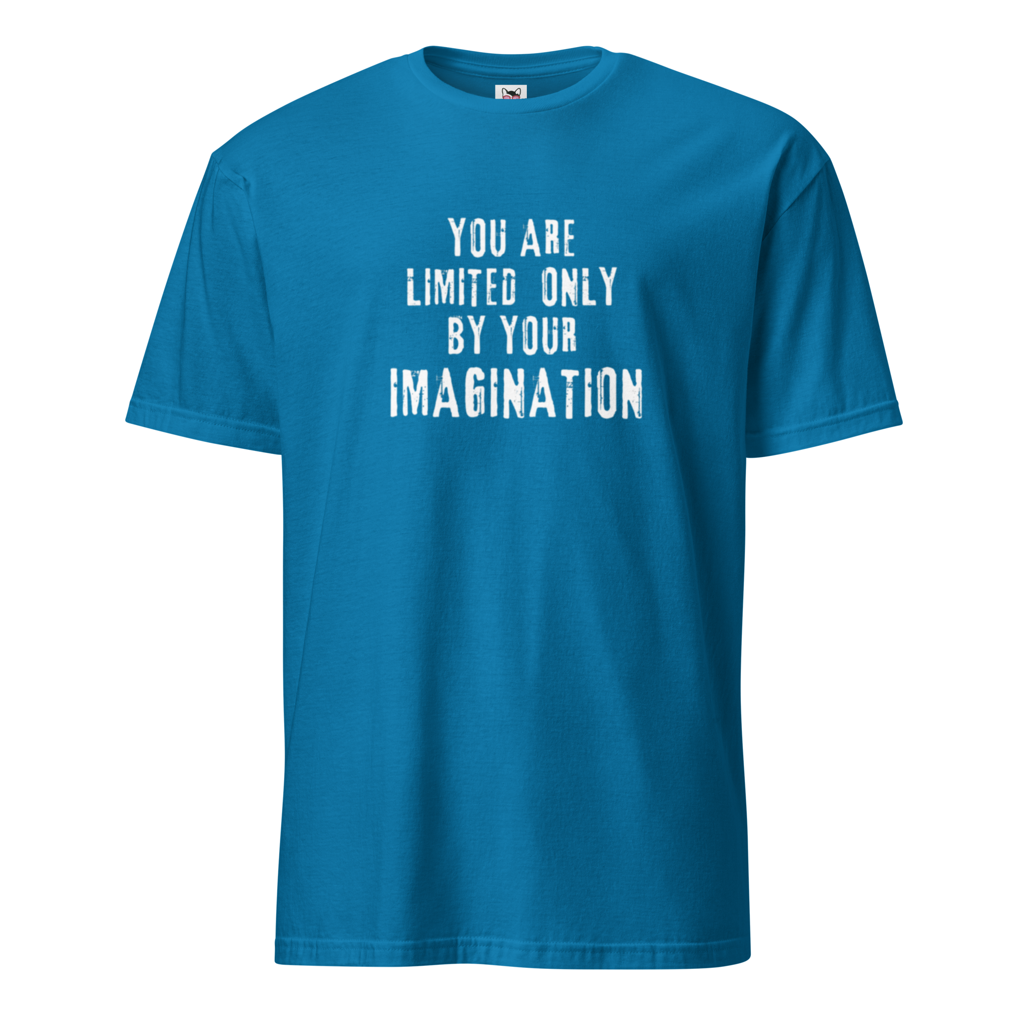 You are Limited Only by Your Imagination