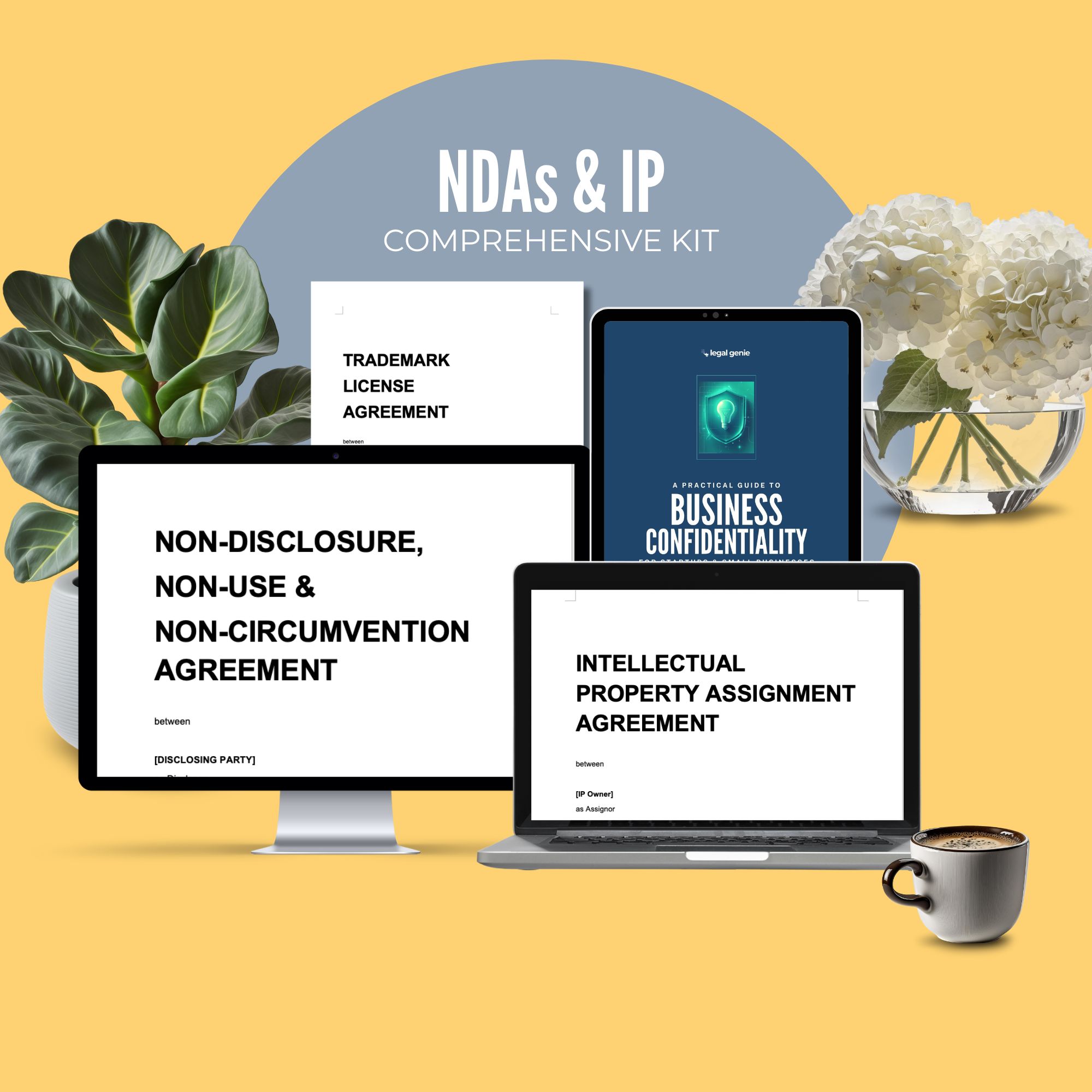 NDA & IP Comprehensive Plan