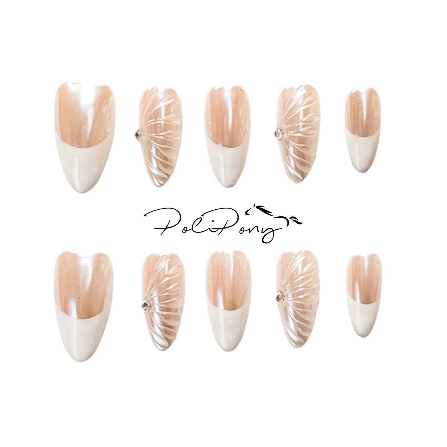 Cream Shell Elegance