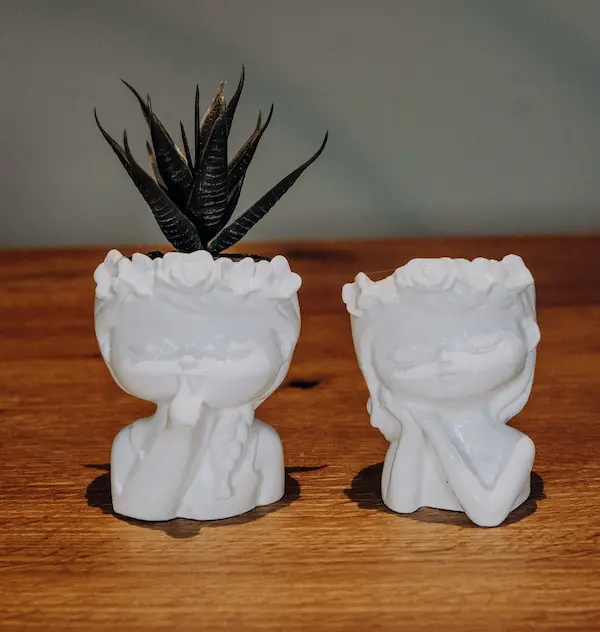 FLORA E GAIA