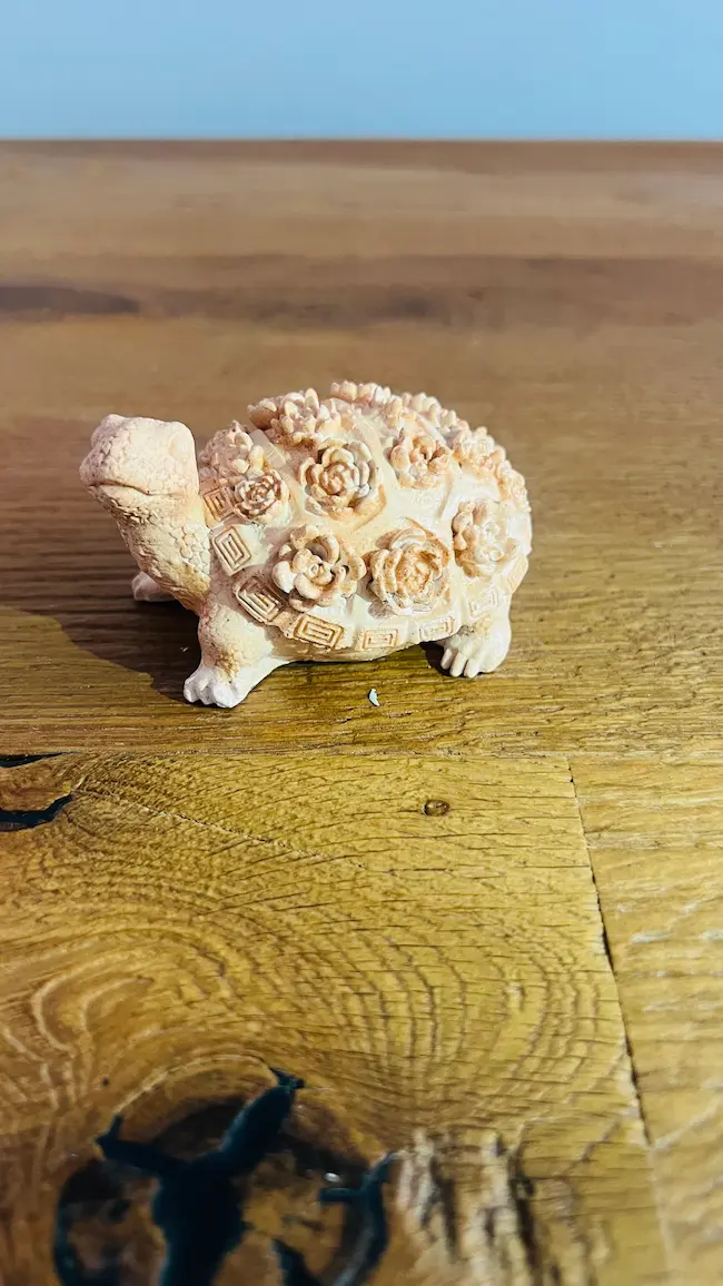 MICHELANGELO