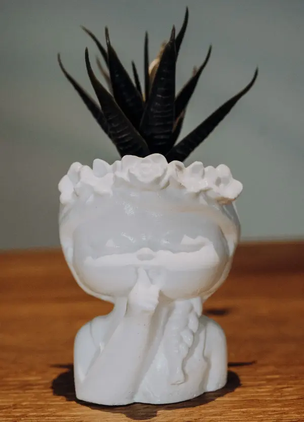 FLORA E GAIA