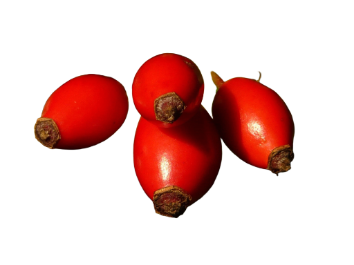 Bio-Hagebuttensaft 250ml (NFC)