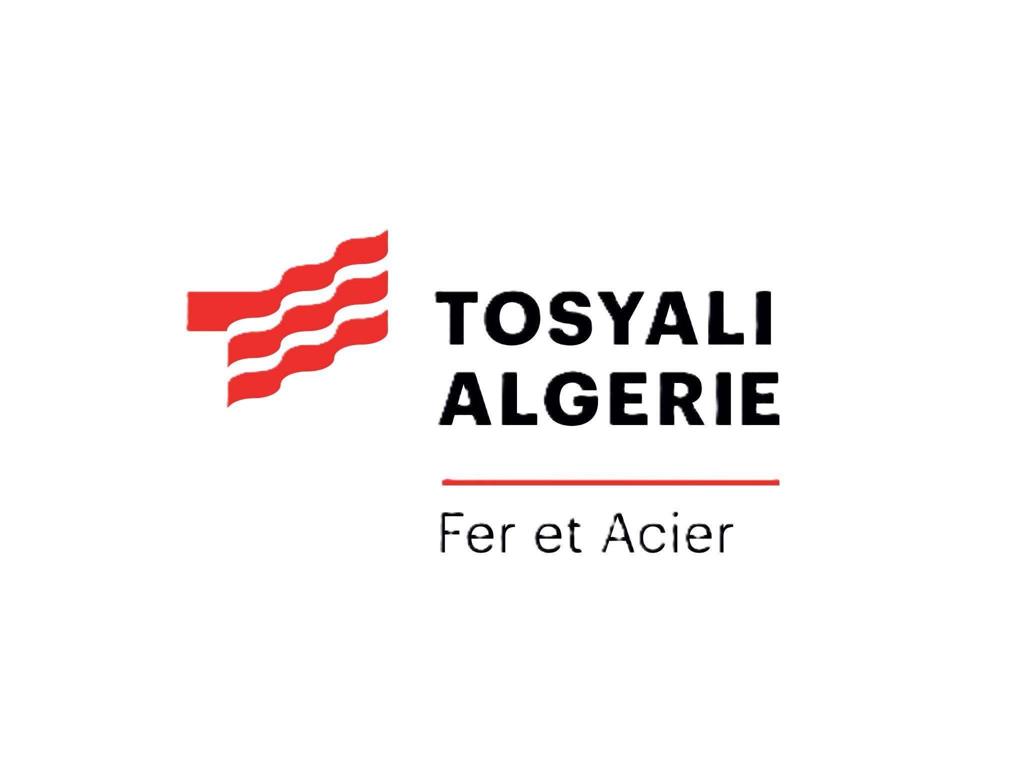 TOSYALI ALGERIE