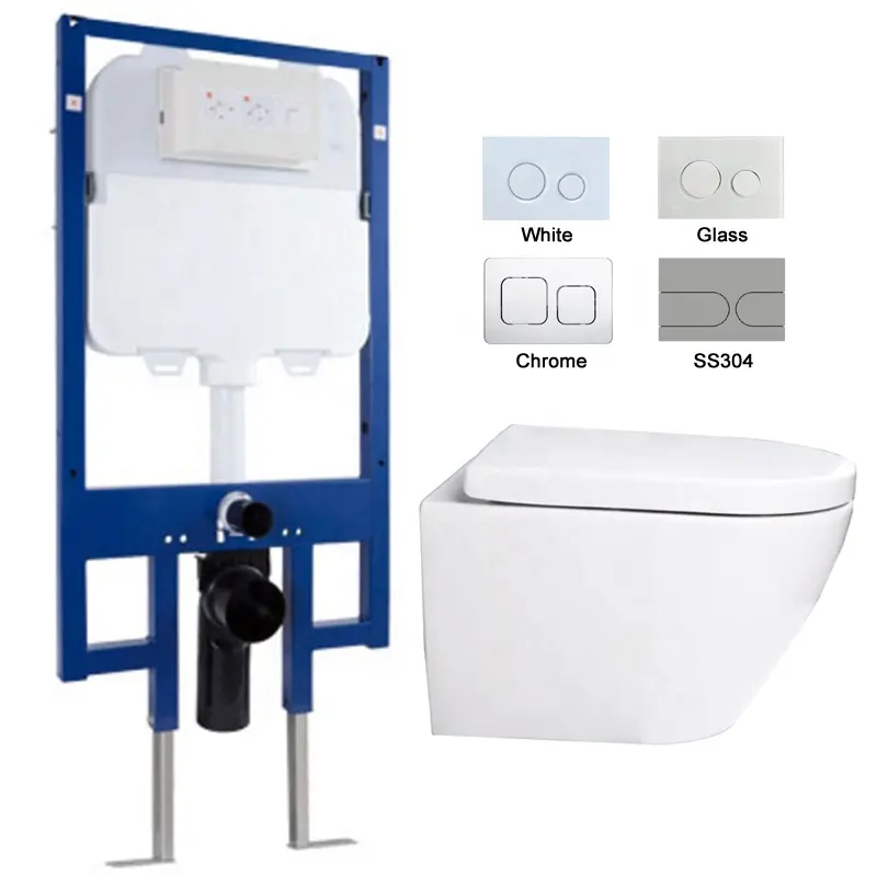 Wall-Hung Toilet with Concealed Tank