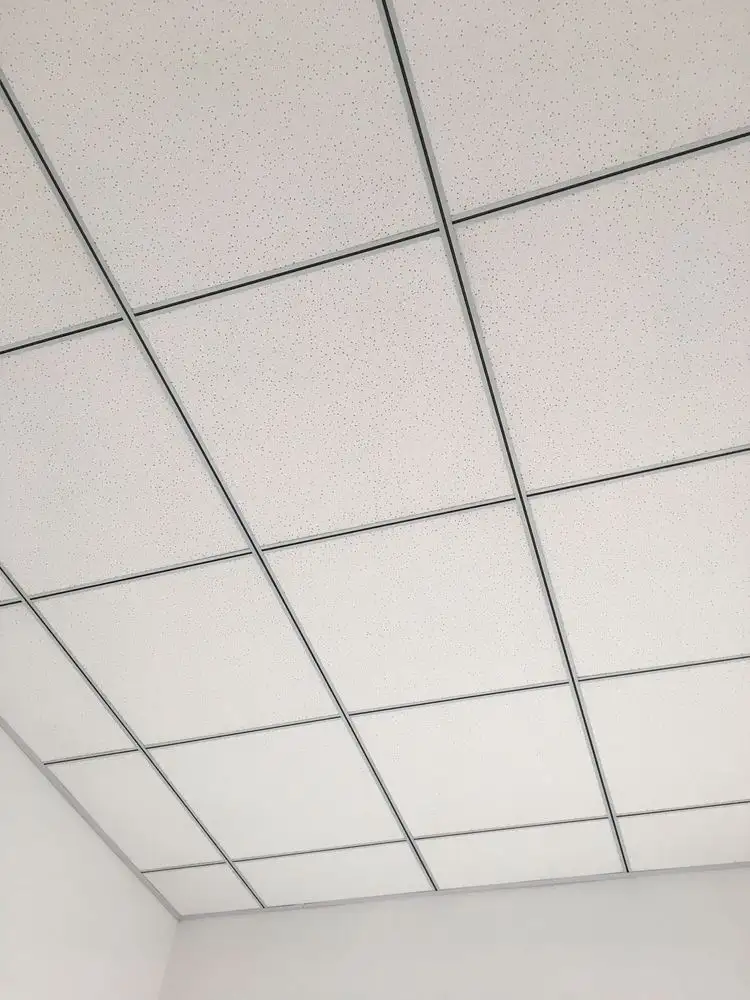 Acoustic Ceiling Tiles