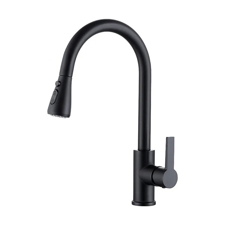 Matte Black Kitchen Faucet