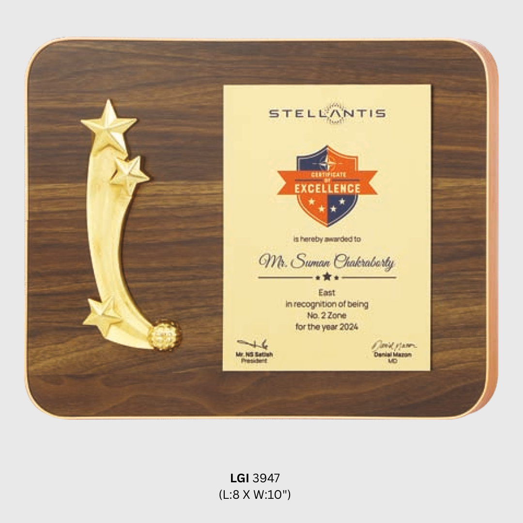 Excellence Award Plaque - LGI - 3947