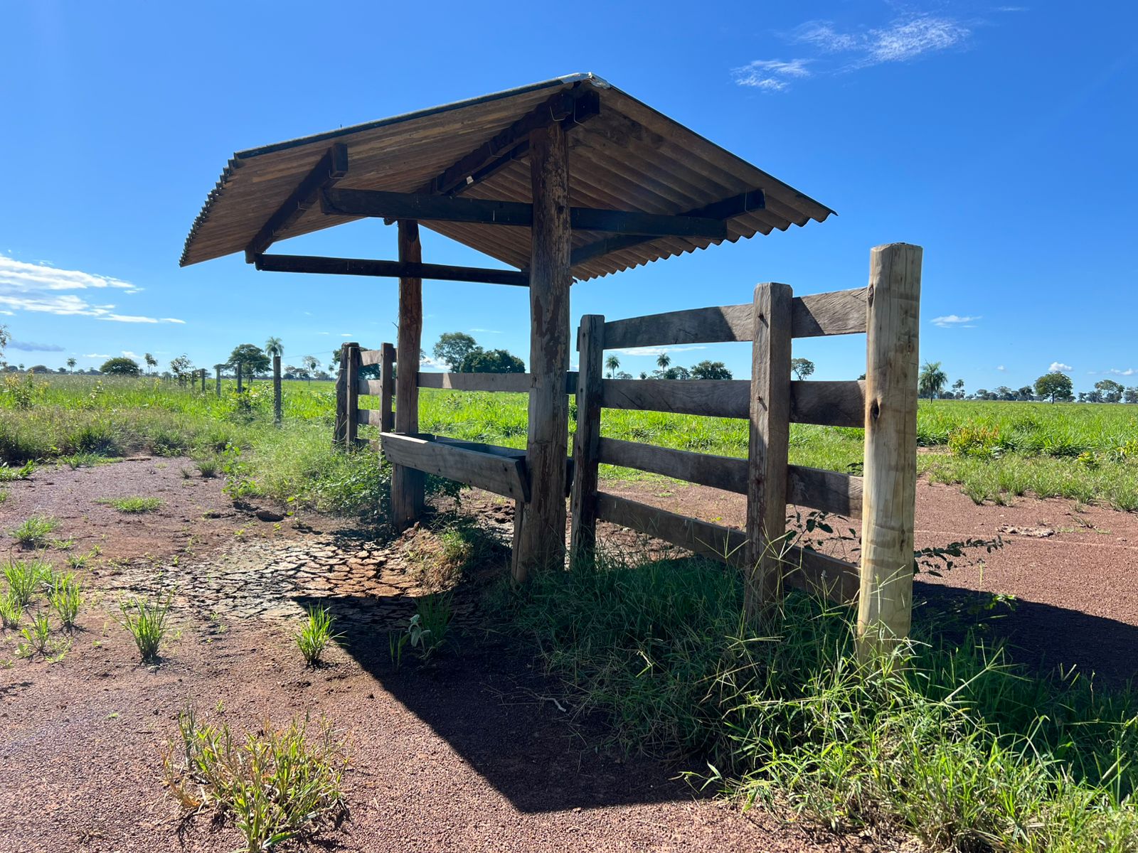 Fazenda com 1.433 Hectares Município de Iaciara GO