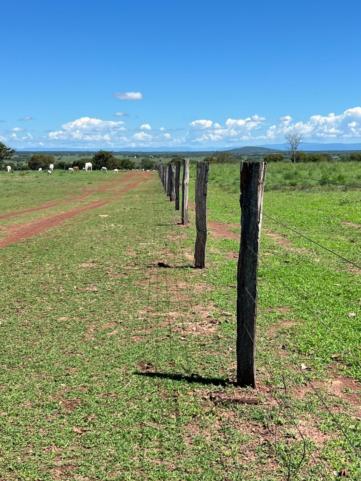 Fazenda com 1.433 Hectares Município de Iaciara GO