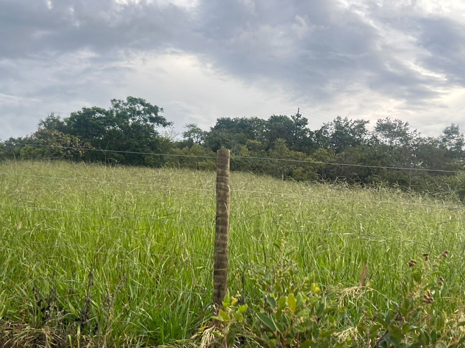 Fazenda à Venda – 11 Alqueires às Margens da Corumbá 3