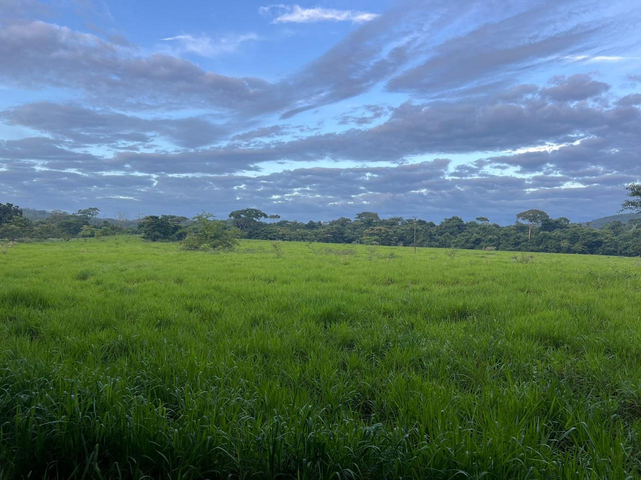  Fazenda  Oportunidade Única no Centro-Oeste!