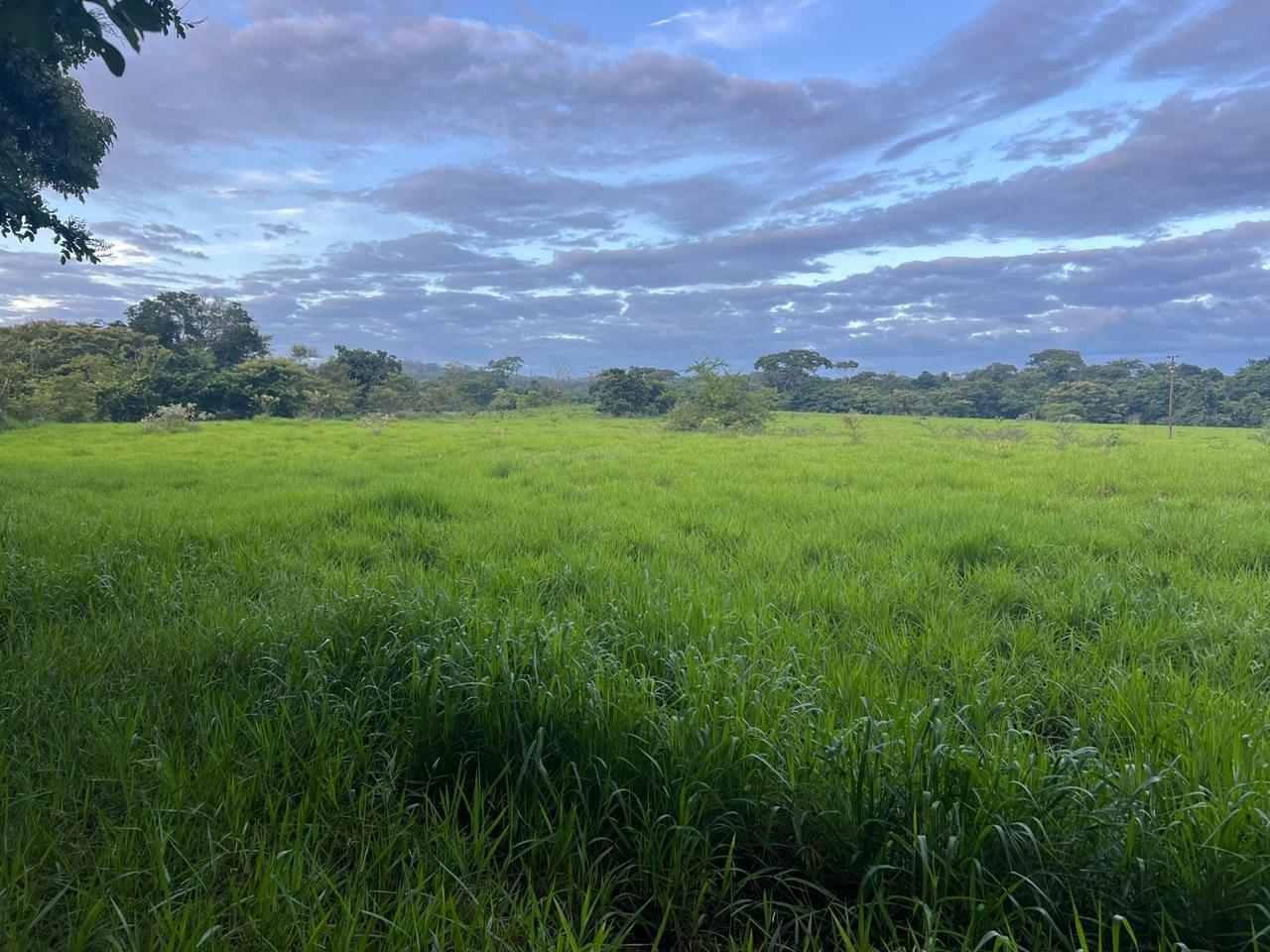  Fazenda  Oportunidade Única no Centro-Oeste!